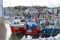 Padstow photo